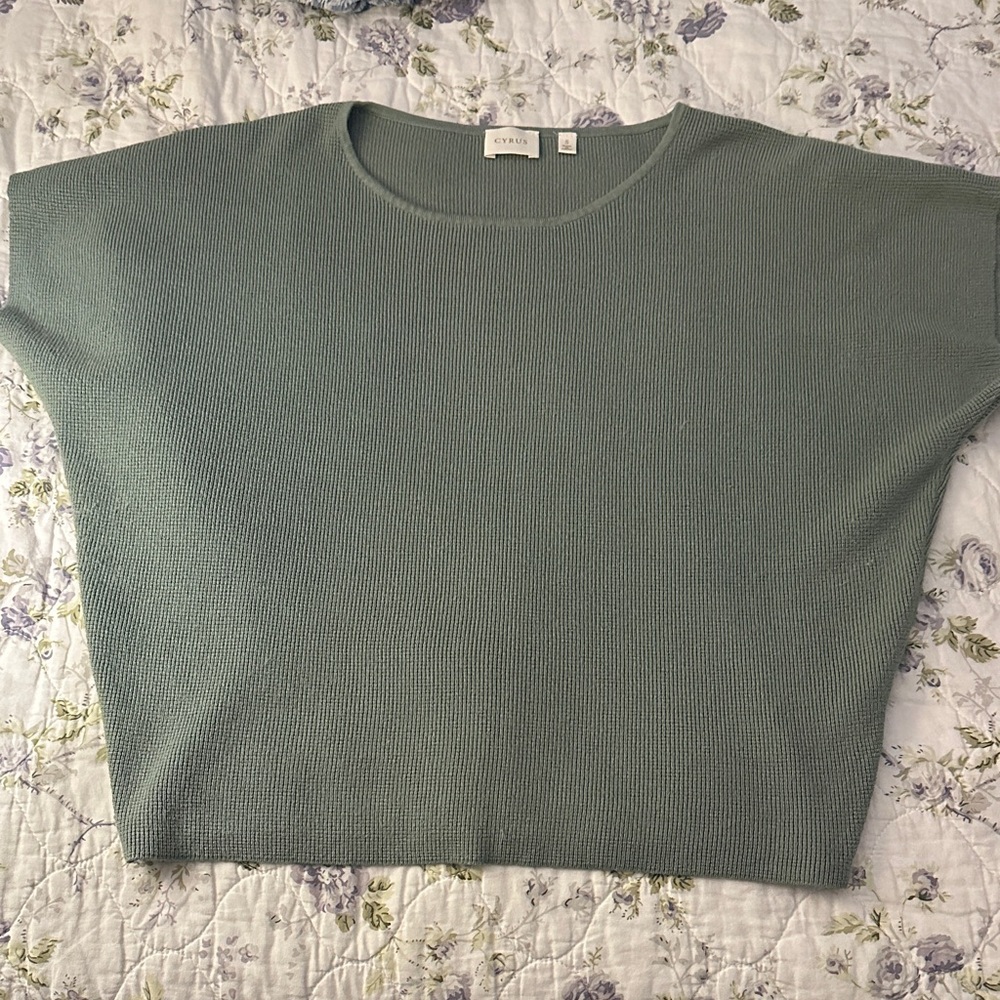 Cyrus Sage Green Women's Top